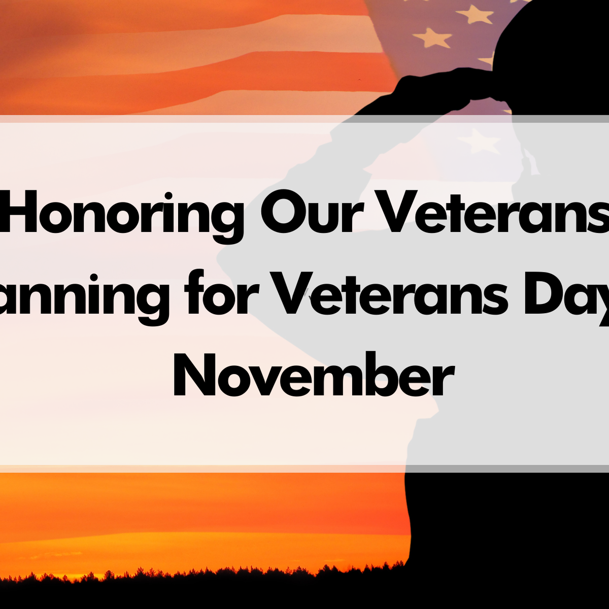 Honoring Our Veterans: Planning for Veterans Day in November – Patriot ...