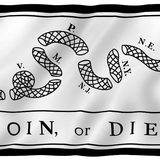 Join Or Die Flag