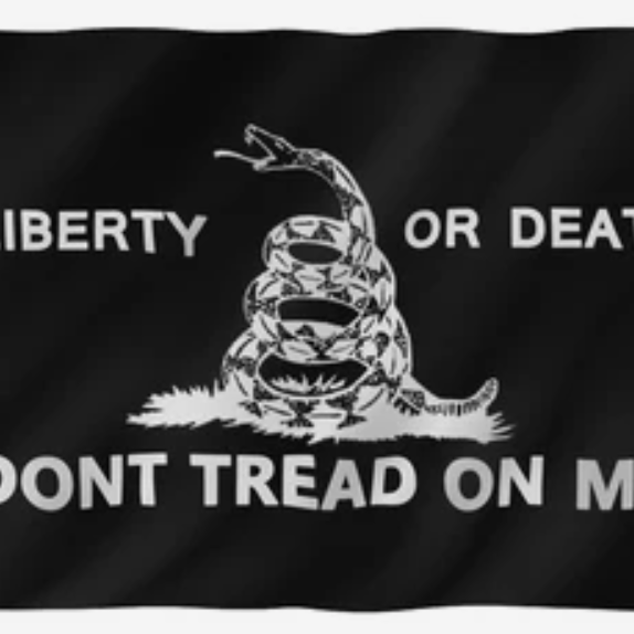Don't Tread on Me Flag