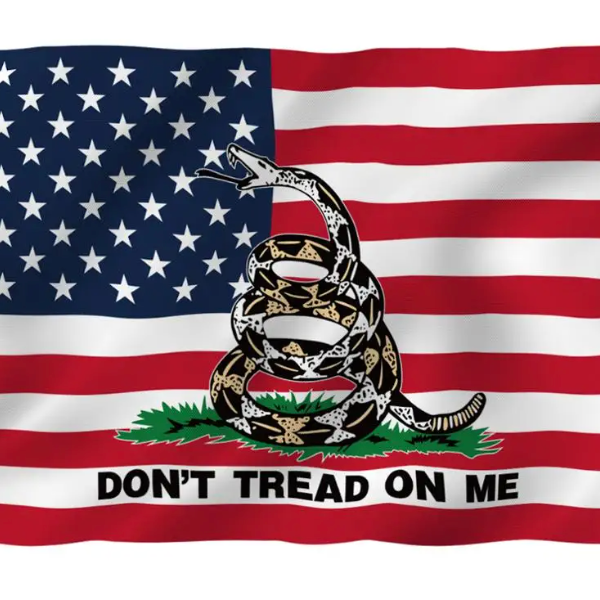 Don't Tread on Me Flag